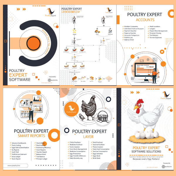poultry
